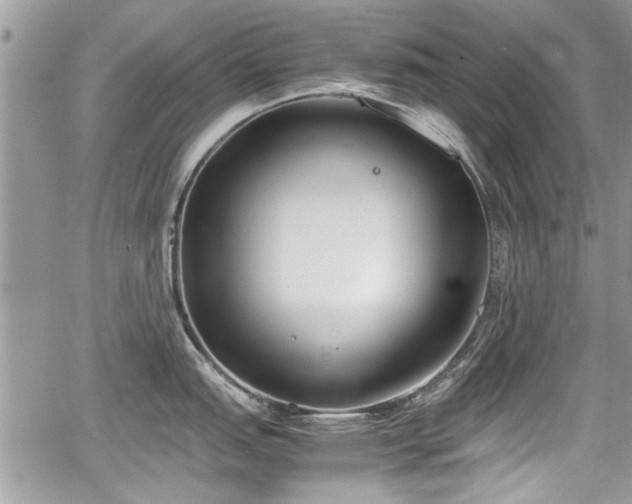 X0000067951151200604171429