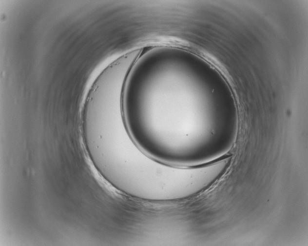 X0000067951152200604171429