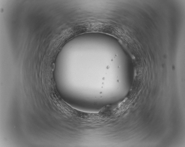 X0000067951153200604171428