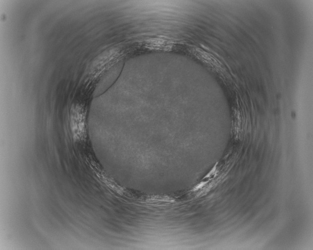 X0000067951154200604171428