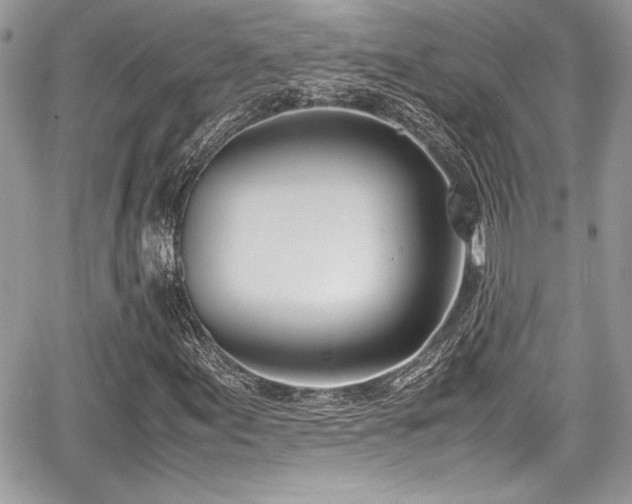 X0000067951155200604171428