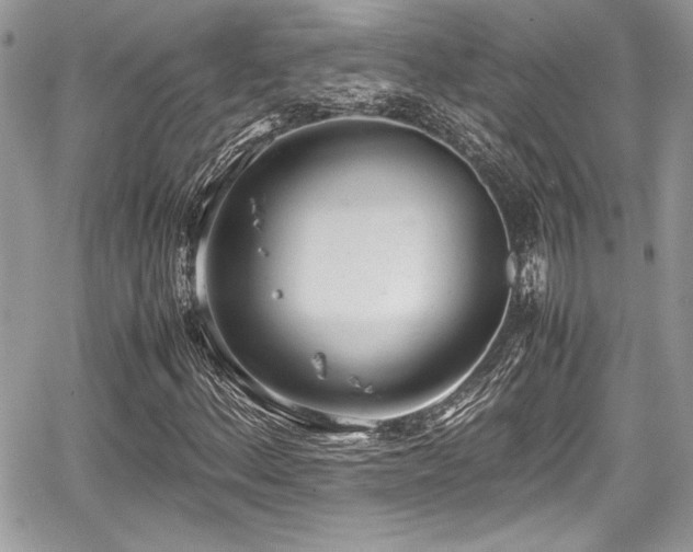 X0000067951156200604171428