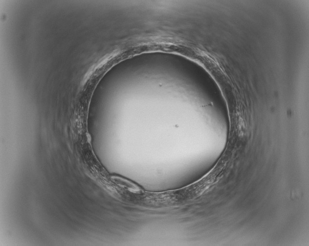 X0000067951159200604171428