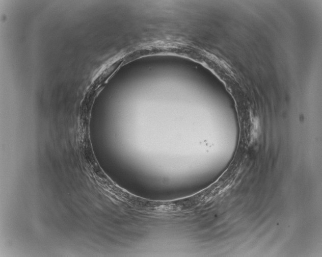 X0000067951160200604171428