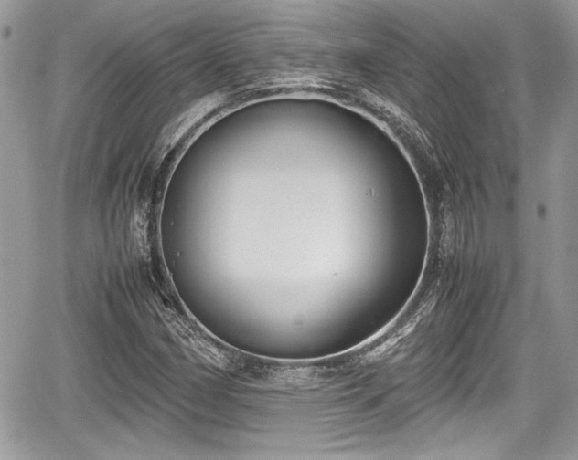 X0000067951162200604171428