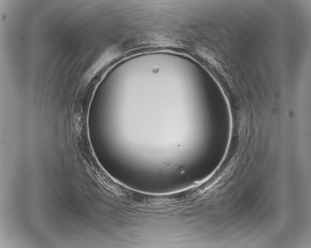 X0000067951163200604171428