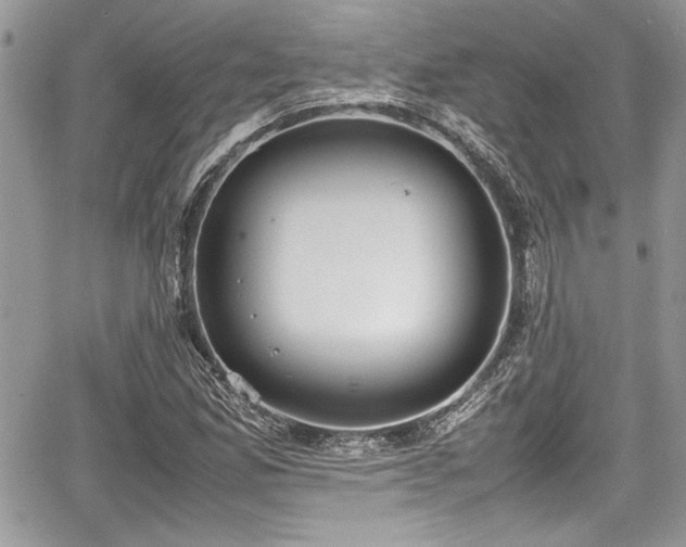 X0000067951165200604171428