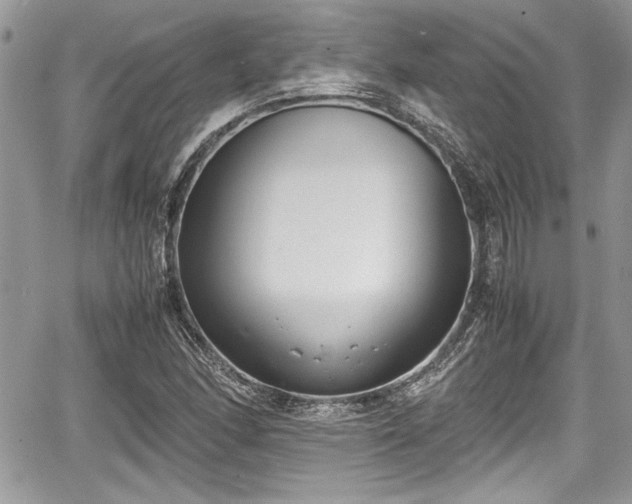 X0000067951166200604171428