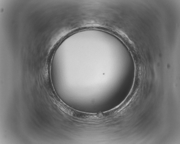 X0000067951167200604171428