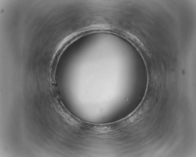 X0000067951168200604171428