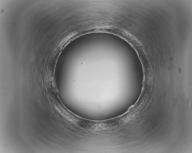 X0000067951169200604171428