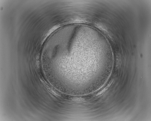 X0000067951170200604171428