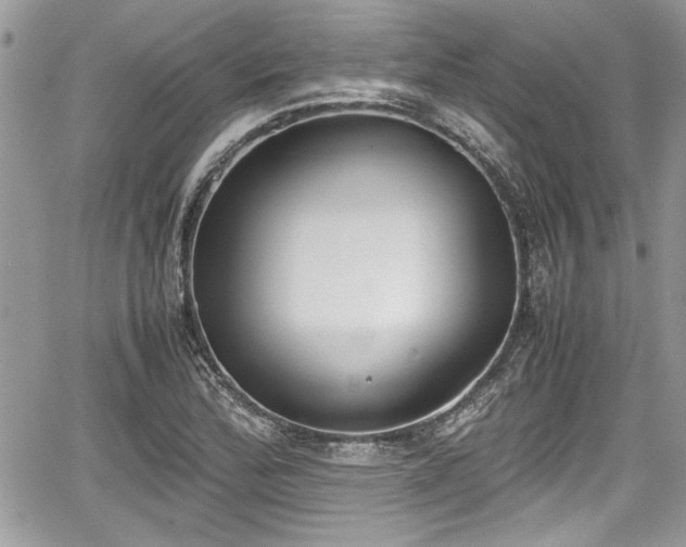 X0000067951172200604171428