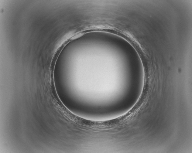 X0000067951173200604171428