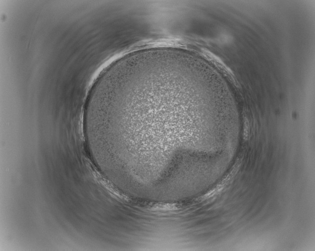 X0000067951174200604171428