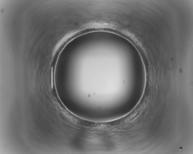 X0000067951175200604171428