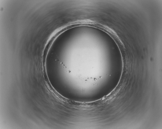 X0000067951176200604171428