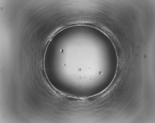 X0000067951177200604171428