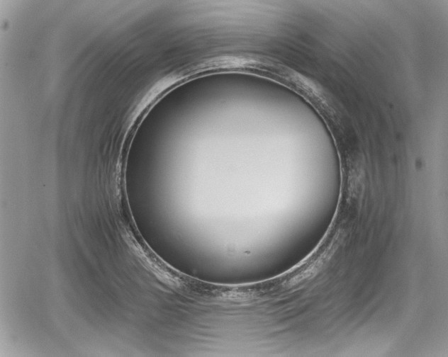 X0000067951178200604171428