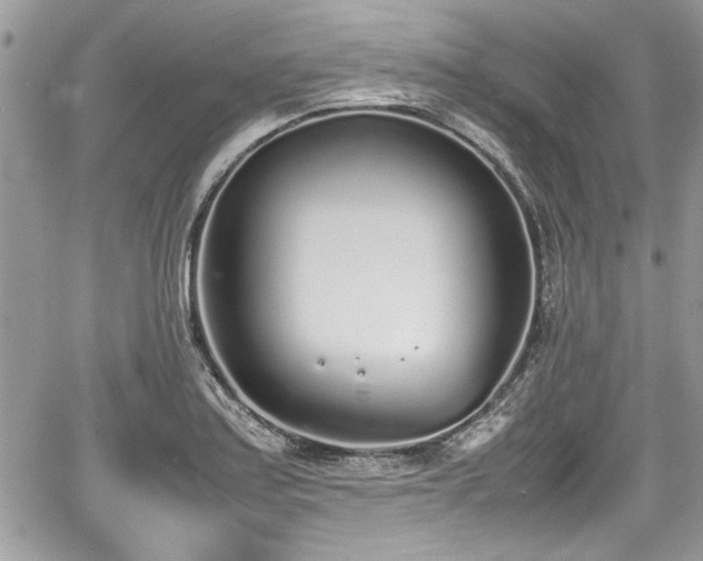 X0000067951179200604171428