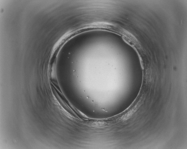 X0000067951180200604171428