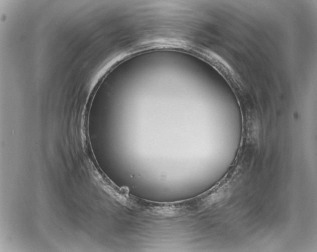 X0000067951182200604171428