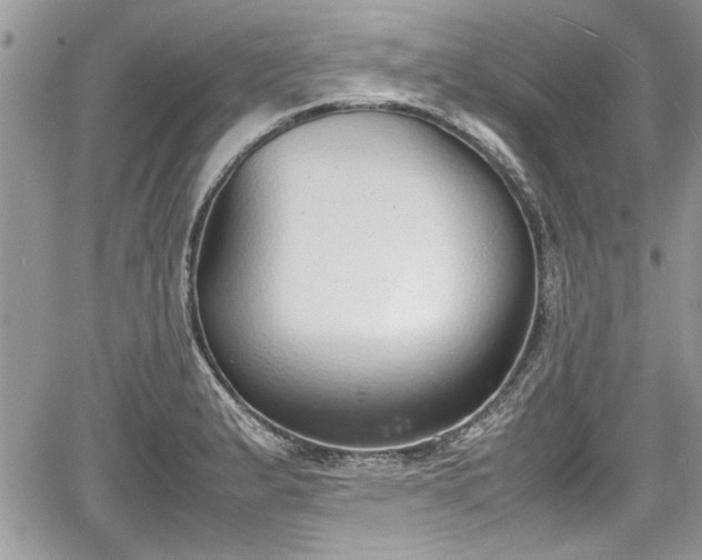 X0000067951183200604171428