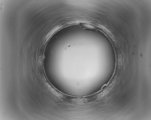 X0000067951185200604171427