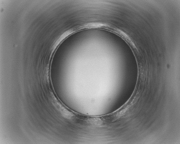 X0000067951186200604171427