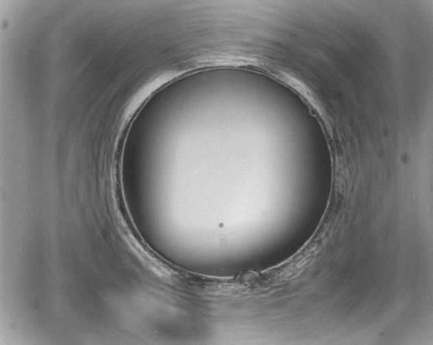 X0000067951187200604171427