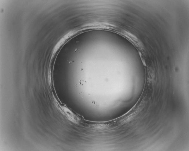 X0000067951188200604171427