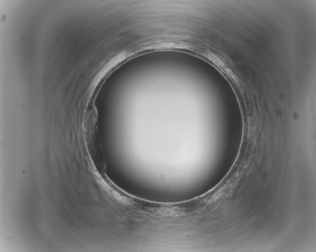 X0000067951189200604171427