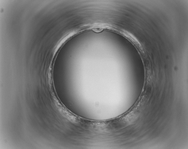 X0000067951190200604171427