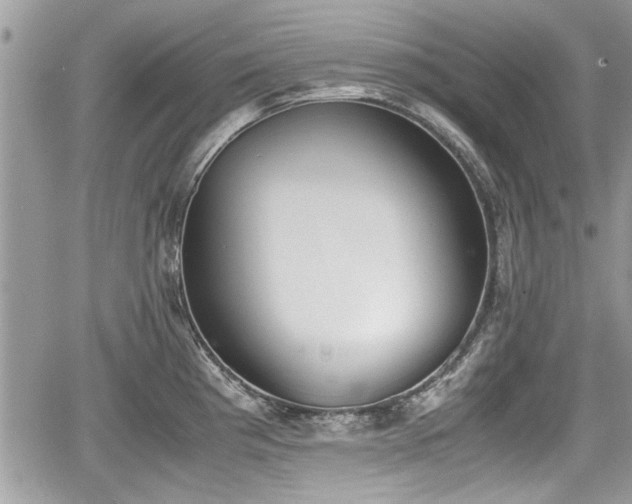 X0000067951193200604171427