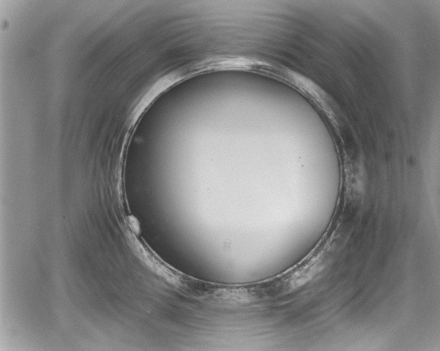 X0000067951194200604171427