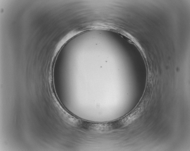 X0000067951195200604171427