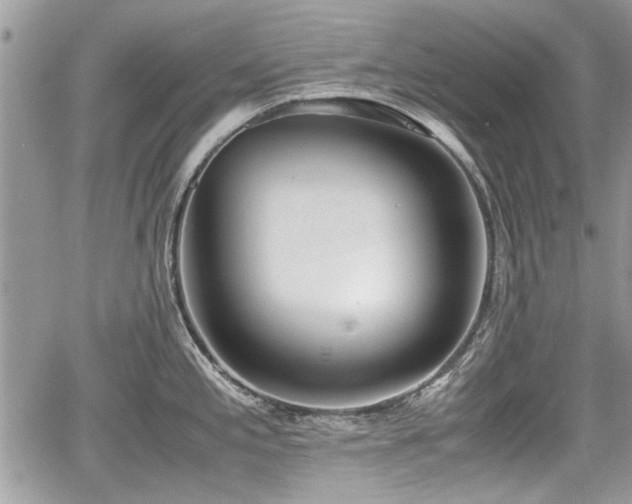 X0000067951197200604171427