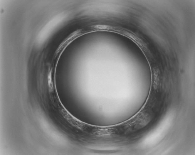 X0000067951198200604171427