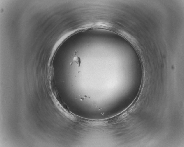 X0000067951200200604171427