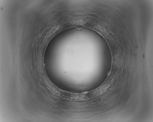 X0000067951201200604171426