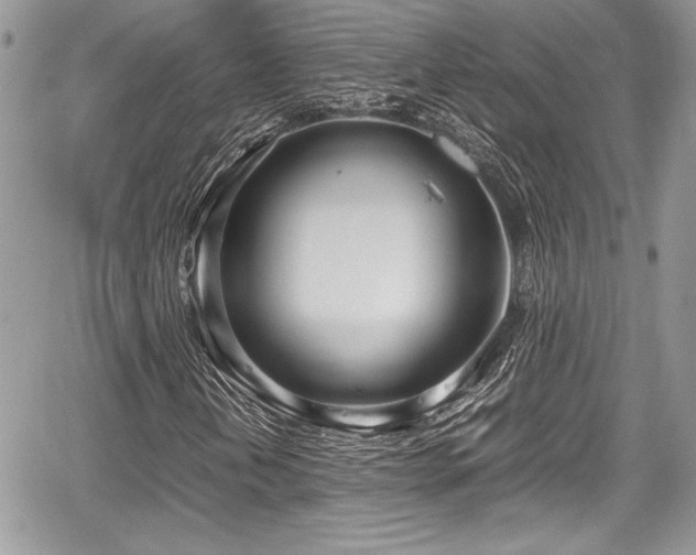 X0000067951202200604171426