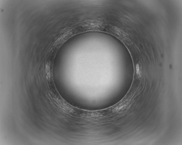 X0000067951203200604171427