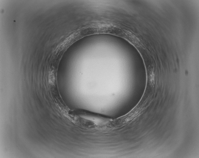 X0000067951204200604171427