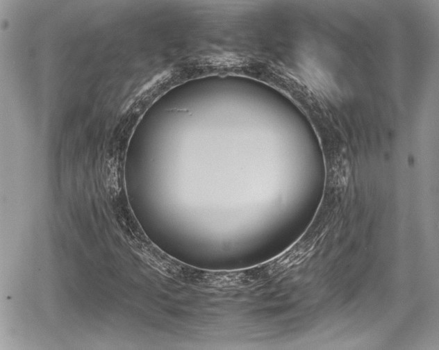 X0000067951205200604171427