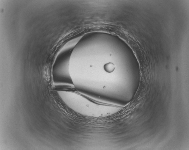 X0000067951206200604171427