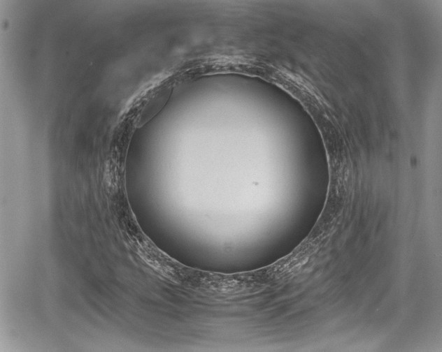 X0000067951207200604171427