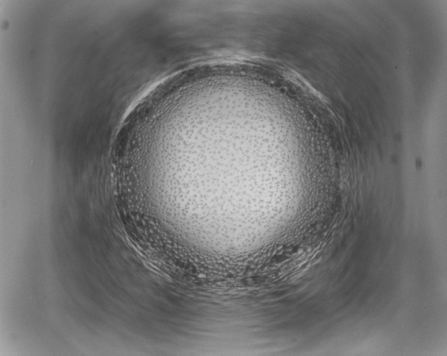 X0000067951208200604171427