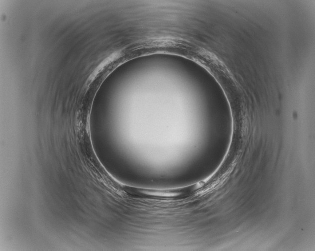 X0000067951210200604171427