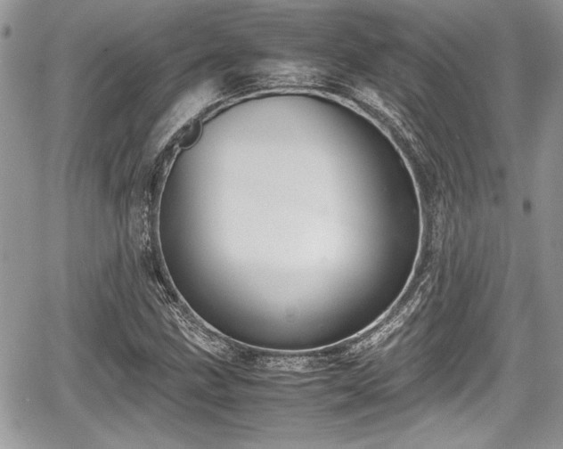 X0000067951211200604171427