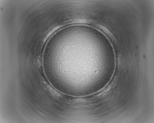 X0000067951212200604171427